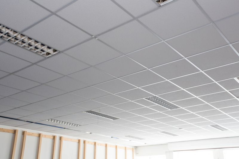 Ceiling Tiles Installation in Longmont, CO