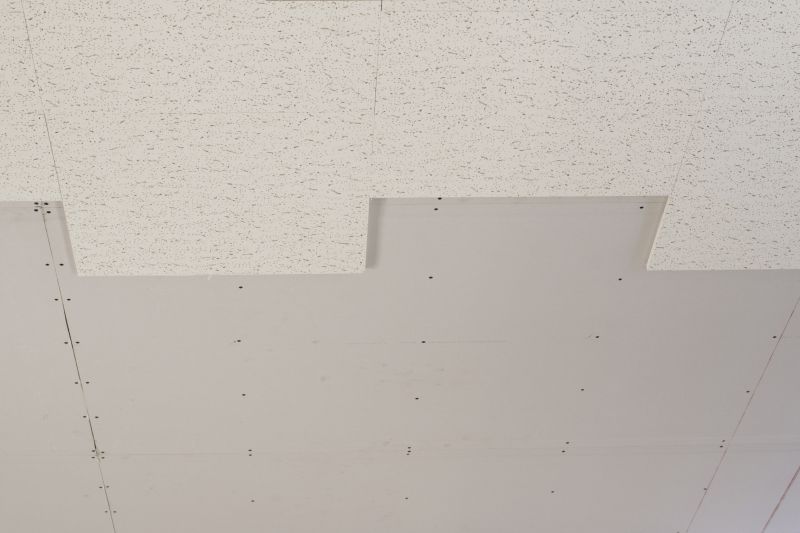 Ceiling Tiles Installation in Longmont, CO
