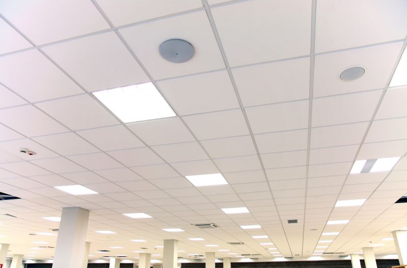Ceiling Tiles Repair in Longmont, CO