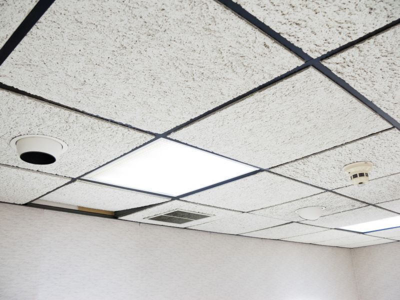 Ceiling Tiles Repair in Longmont, CO
