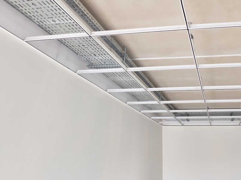 Grid Ceiling Repair in Boulder, CO
