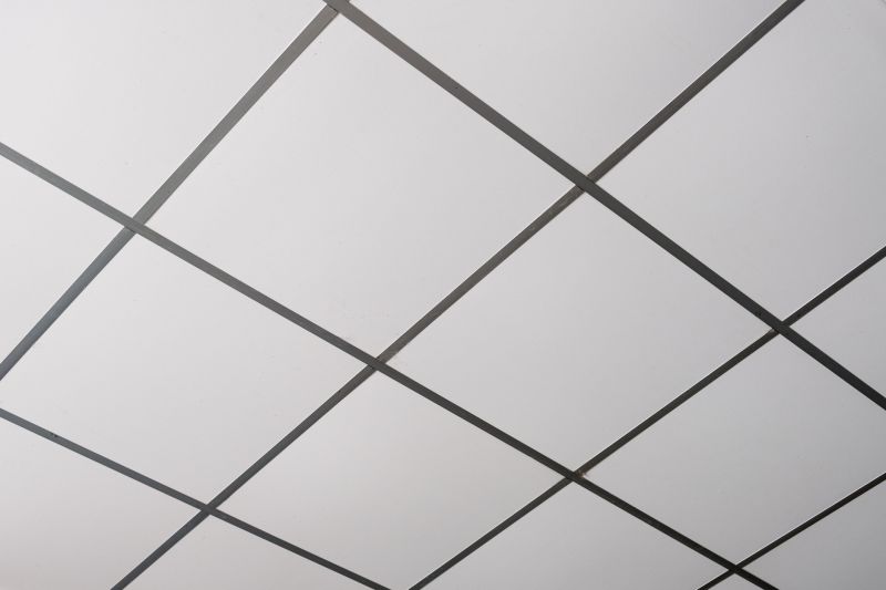 T Bar Ceiling Installation in Boulder, CO