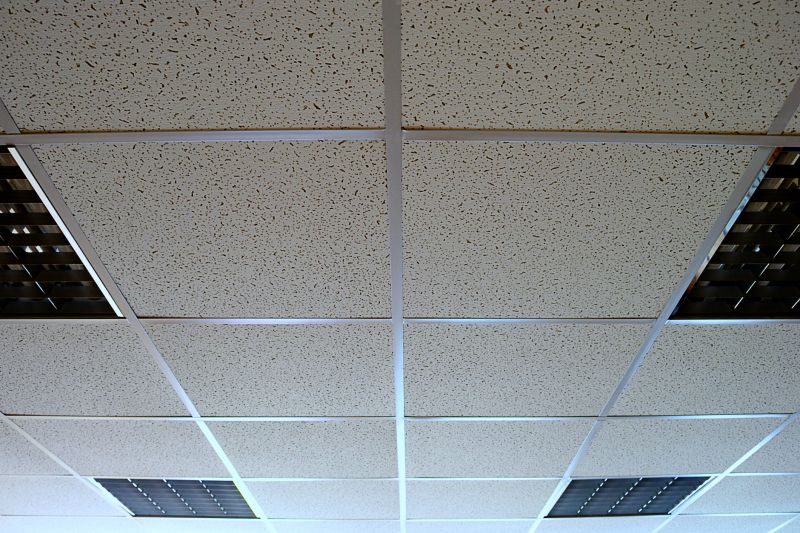 Ceiling Tiles Installation in Longmont, CO
